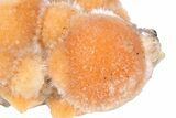 Vibrant Peach Thomsonite on Heulandite - India #382287-2